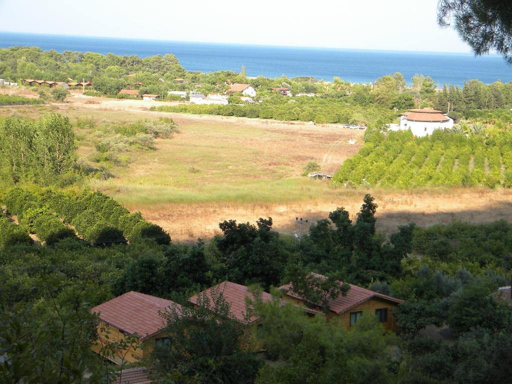 Azra Villas Çıralı Habitación foto